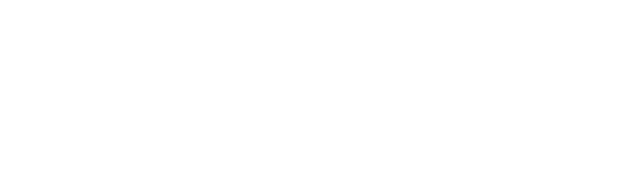 Bonnie Primm Consulting Logo